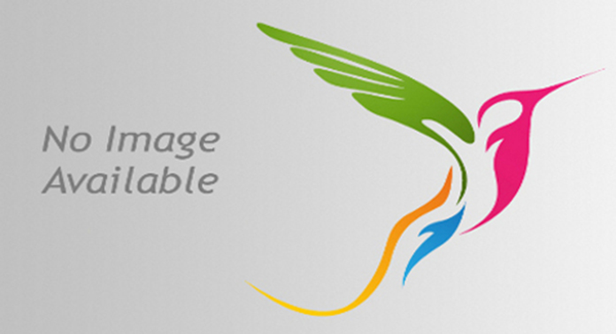 Musharax Madaxweynaha Galmudug State Dr./Gaashaanle sare, Mohamed Aden Jimale (Koofi). Waa nin Caynkee ah?